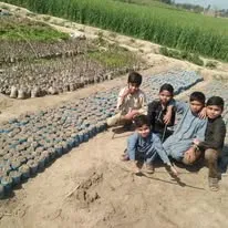 Green Seekers Activity